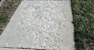 Salt Damage to Concrete